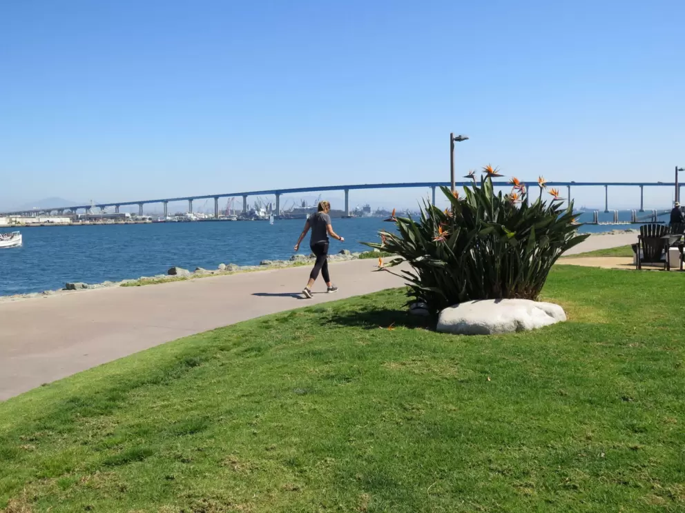 A woman walks along the path past Bird of Paradise flowers.
