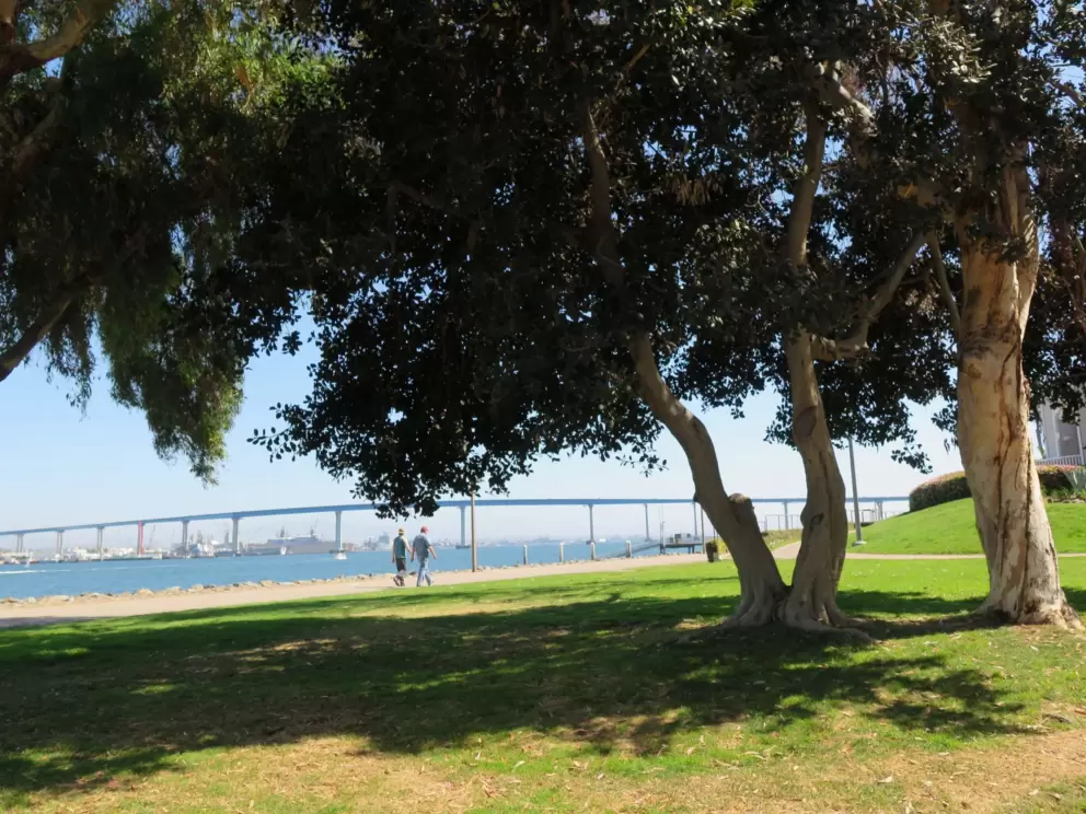Trees along the path.