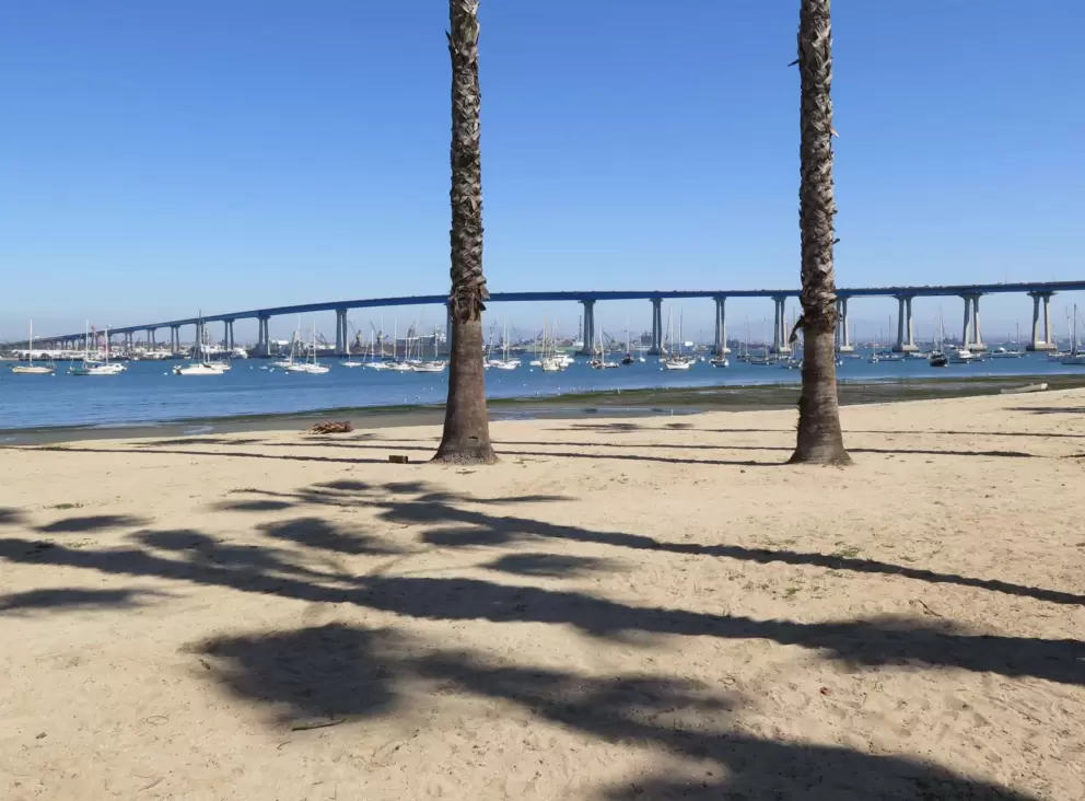 Palm tree shade on the sand, and views of the bridge.