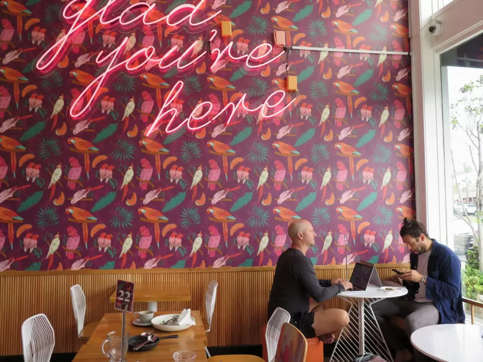 Early risers at Parakeet Cafe.