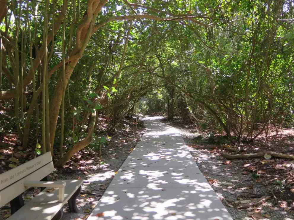 The shady walkway.