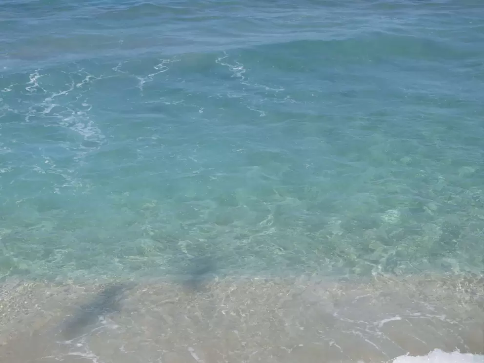 Bird shadows and clear water.