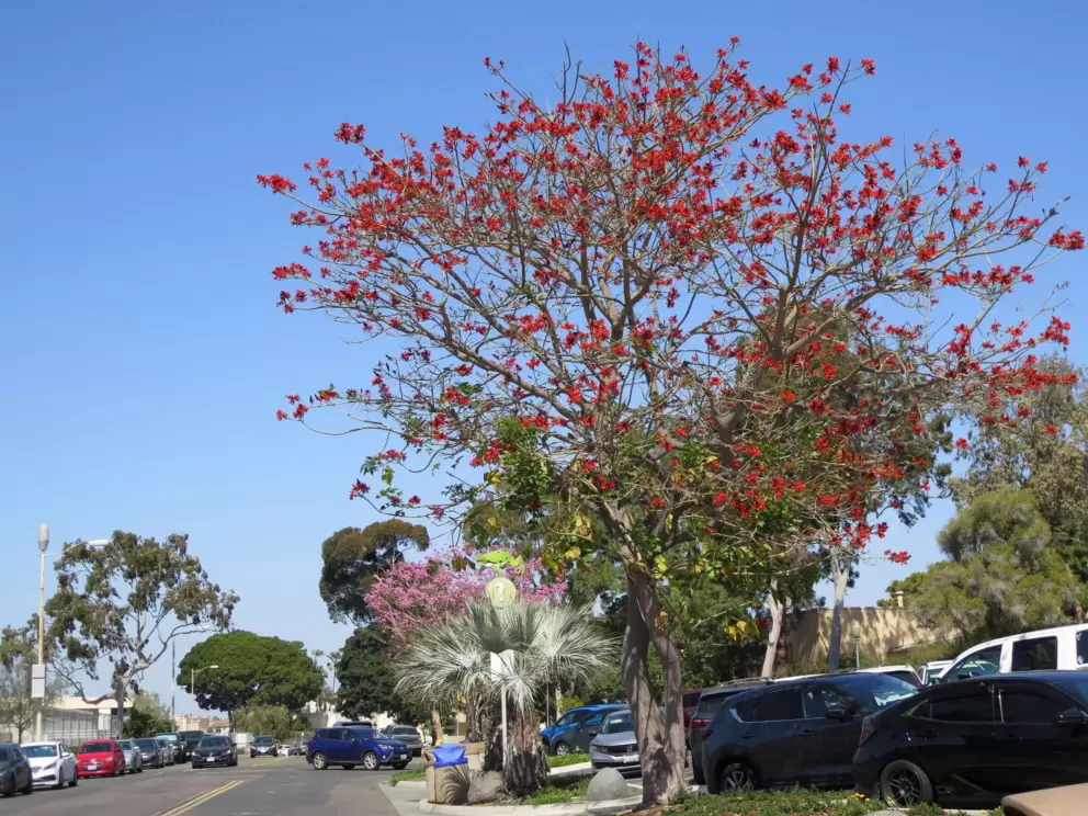 Even the parking lot is pretty!