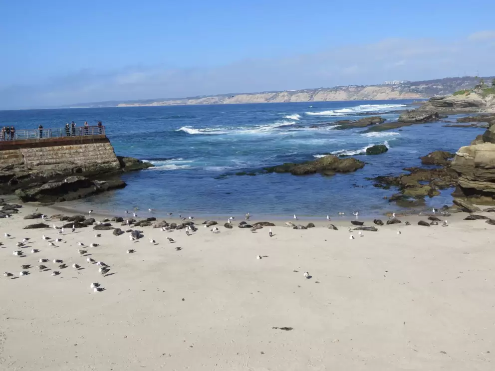 The beach protected by a breakwater.