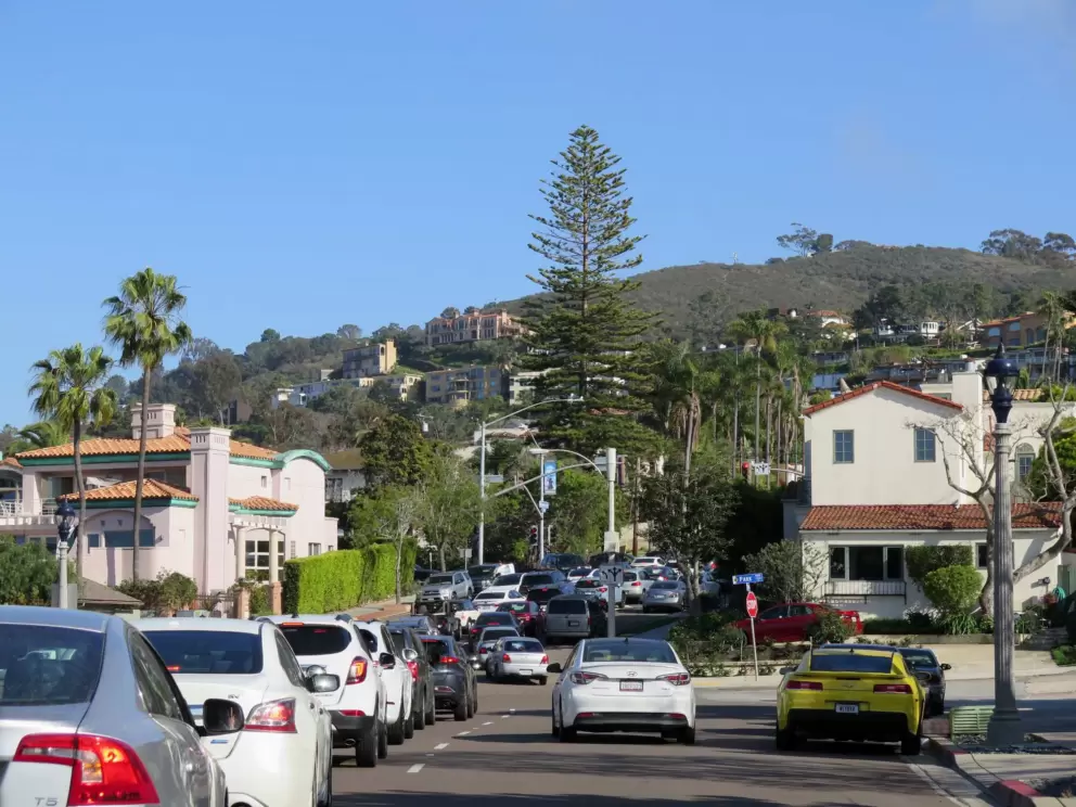 Views of hills and Norfolk pine tree, plus traffic leaving La Jolla.