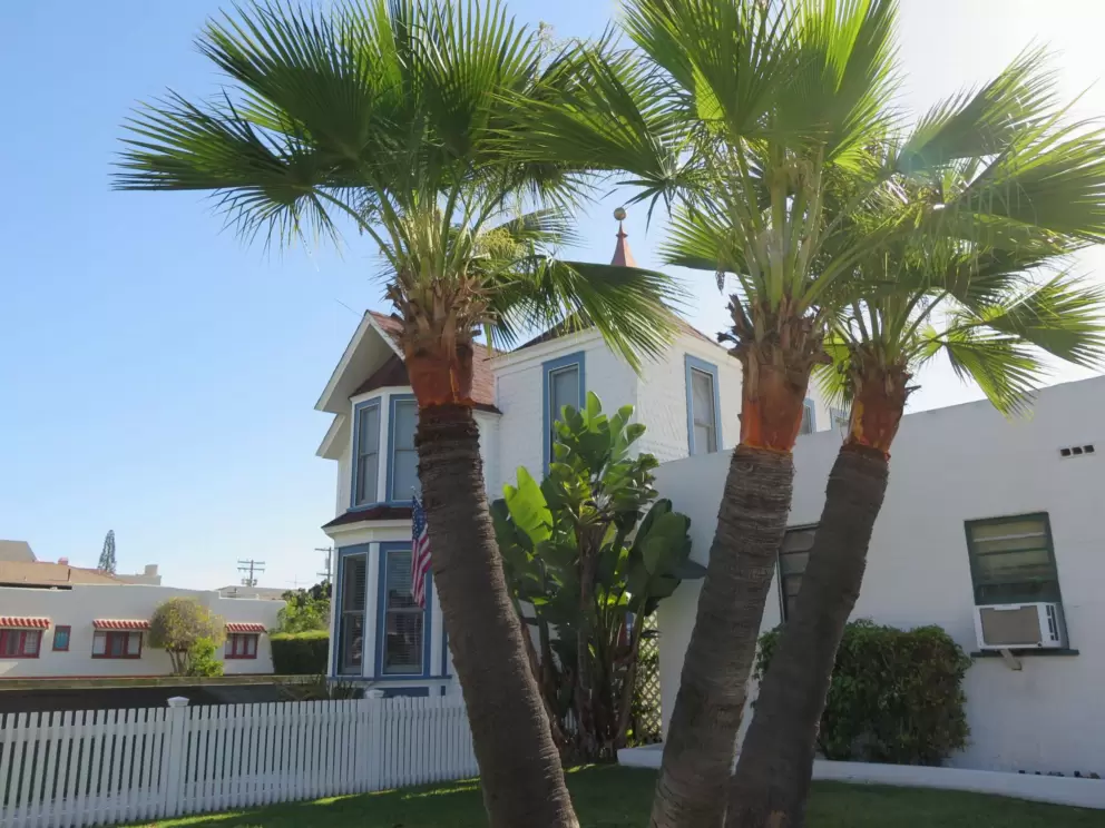 Adorable house where the stores start on Orange Ave.
