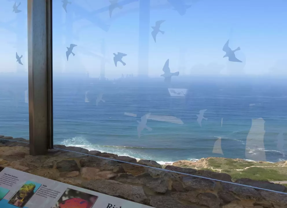 Looking through the glass at the lookout.