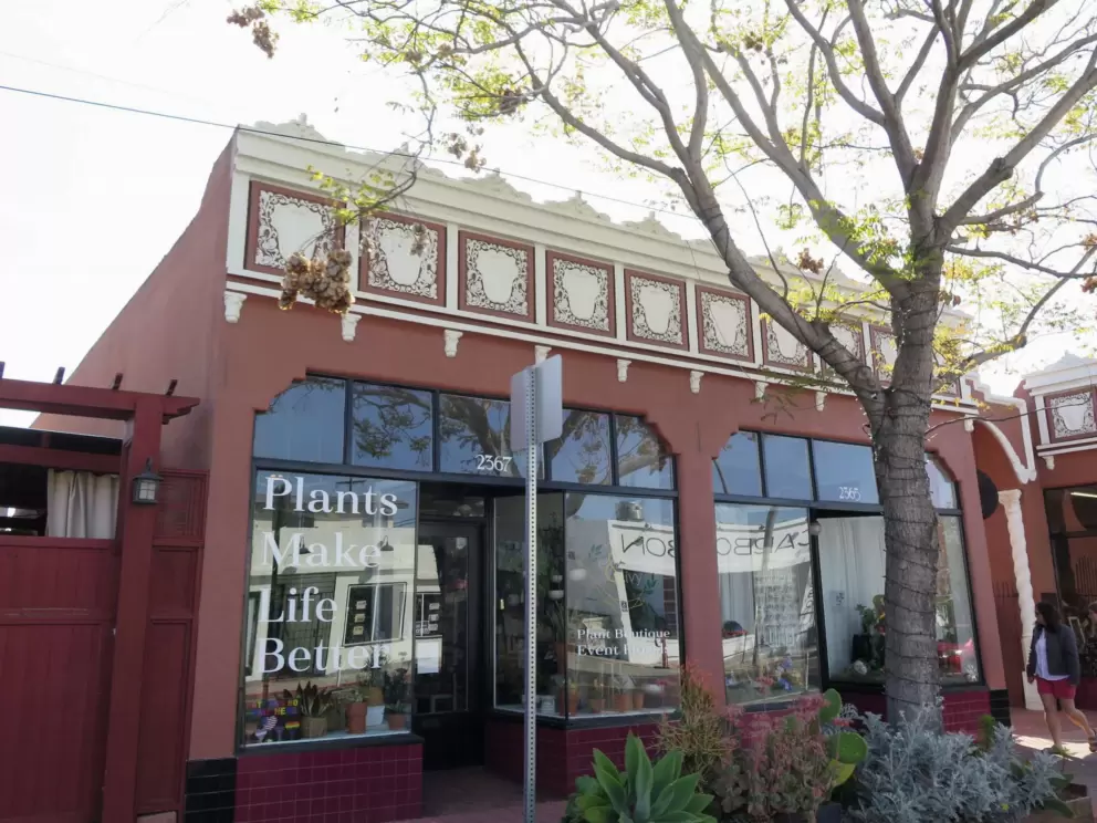 Plants Make Life Better, in a window.