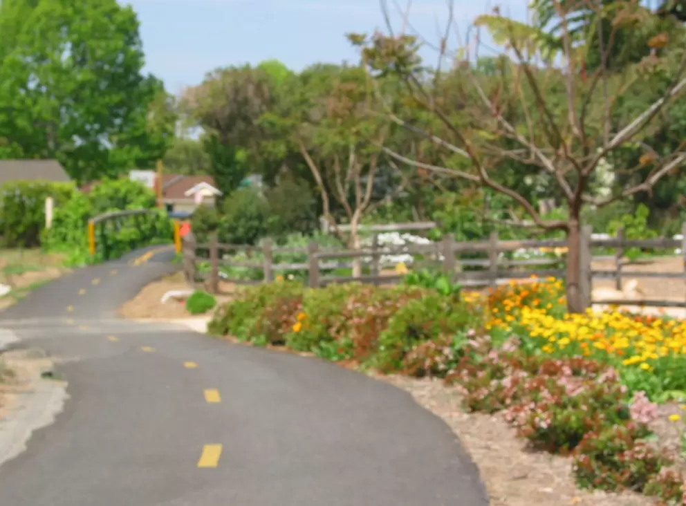 The winding path, at Nueces Drive (the photo is out of focus on purpose haha!).