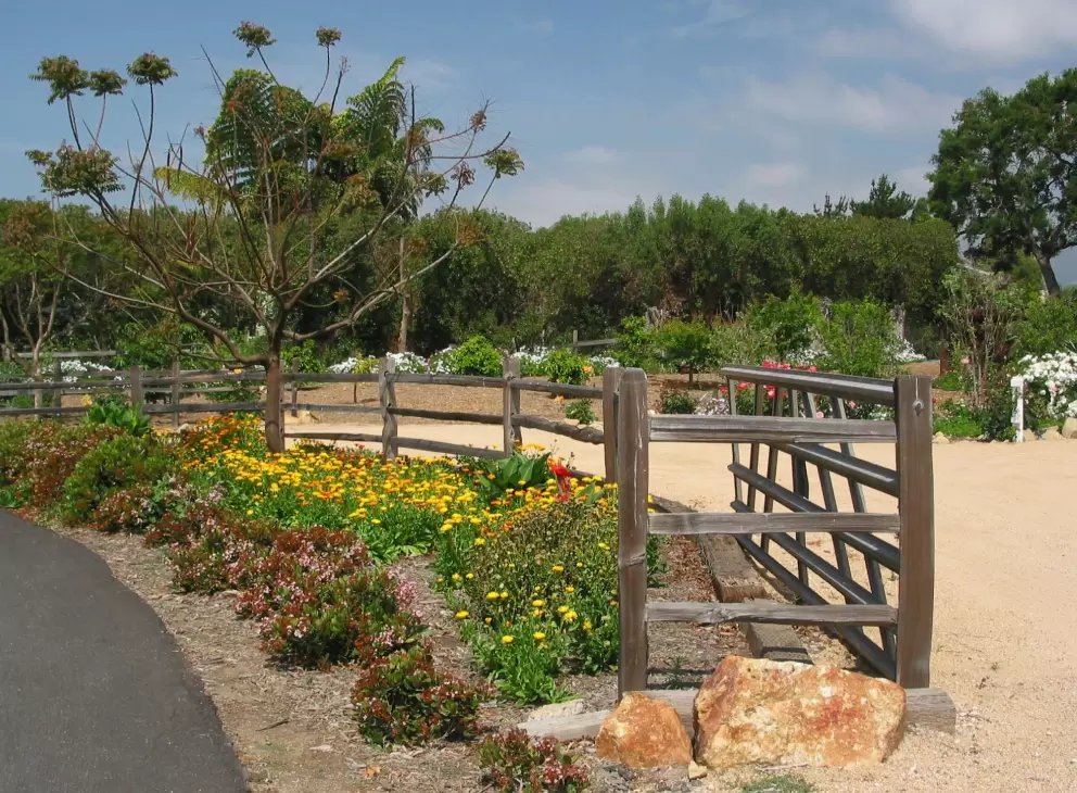 Colorful sights along the path, on Nueces Drive. 
