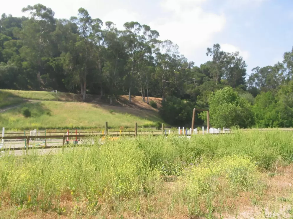Field and hill, near Modoc Rd.