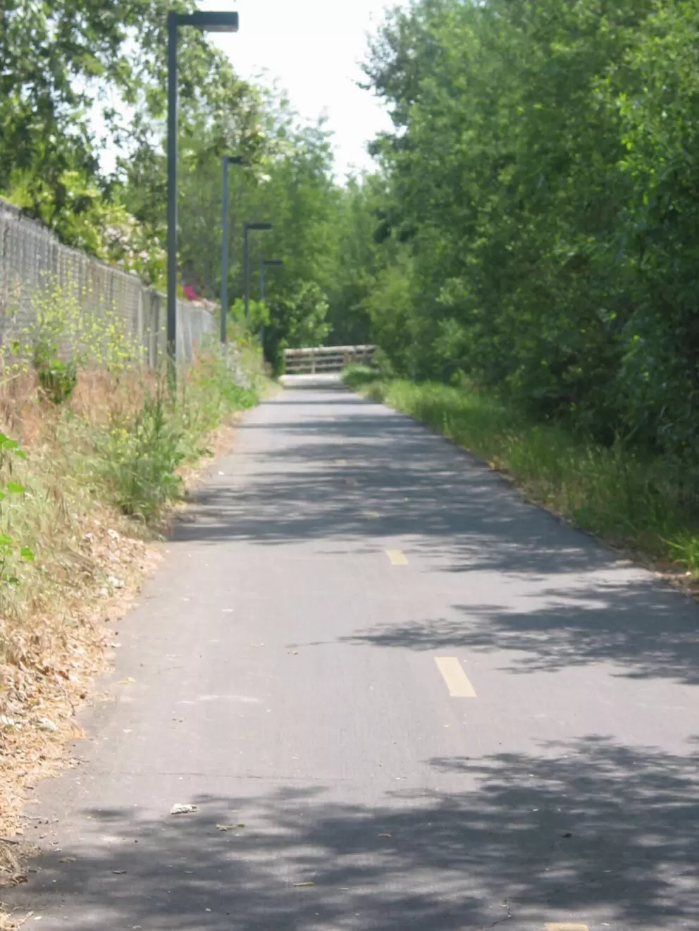 The path has some shade.