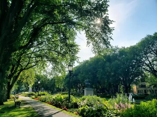 The garden on a sunny day. Photo by @lynne.inspirations.