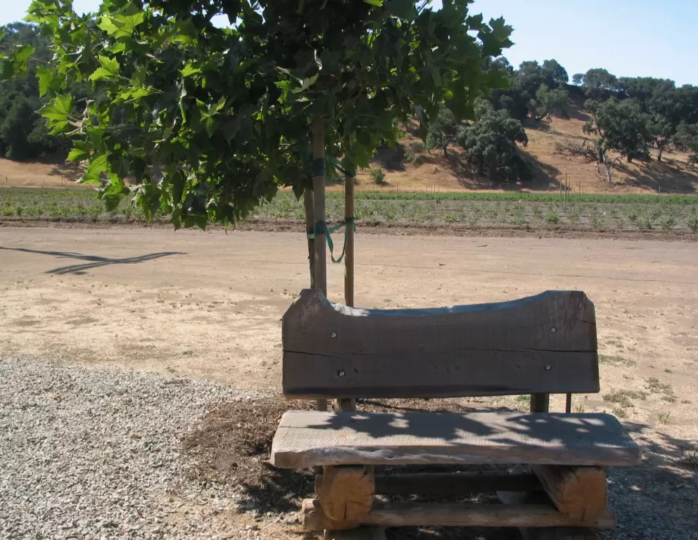 Cute bench for photos of your little berry pickers.
