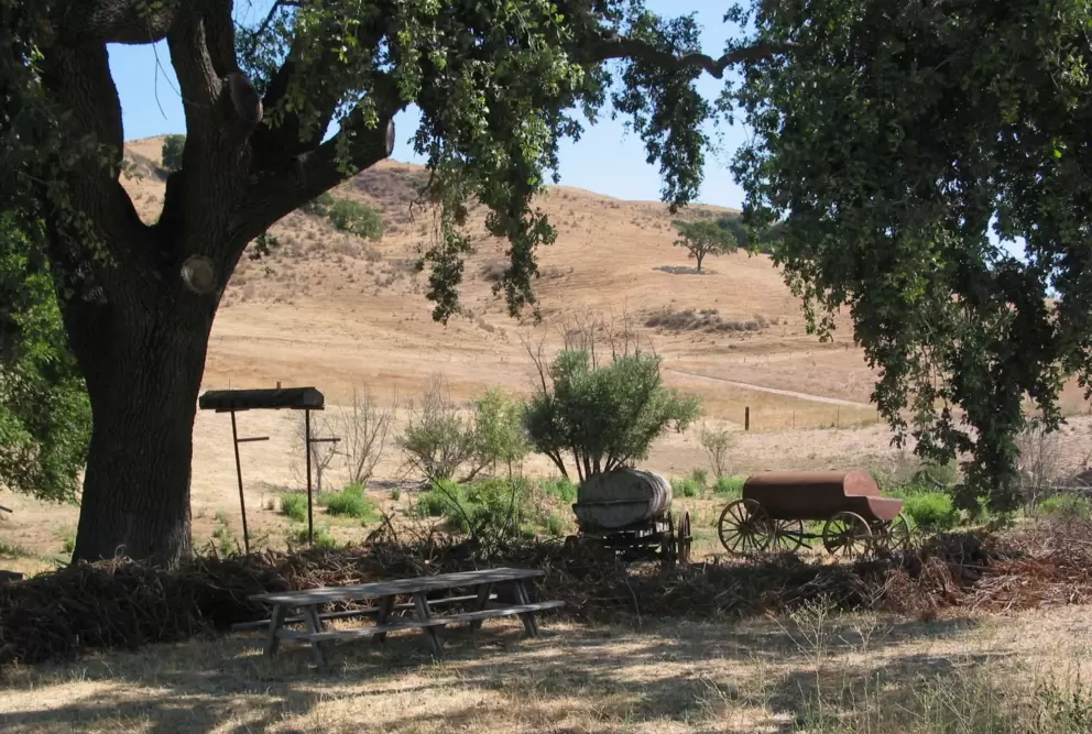 A bucolic scene...