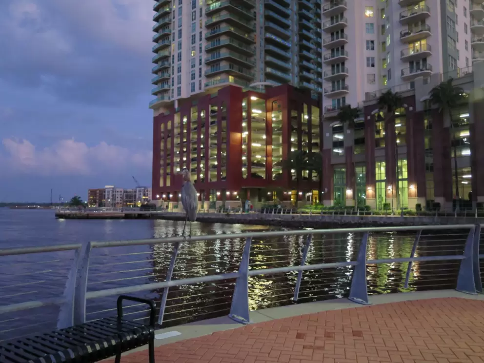 Tall condo building on the water.