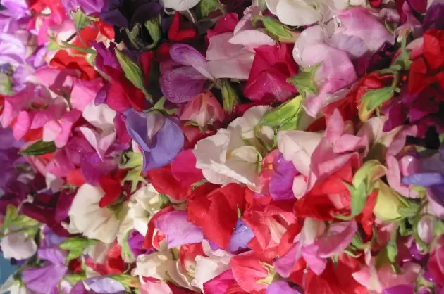 Your cares will melt away.