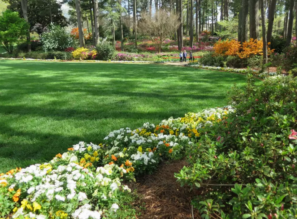 Flower beds and huge lawn.