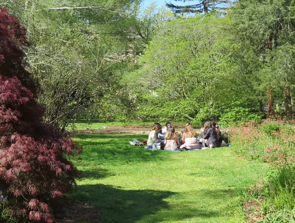 Study circle on the lawn.