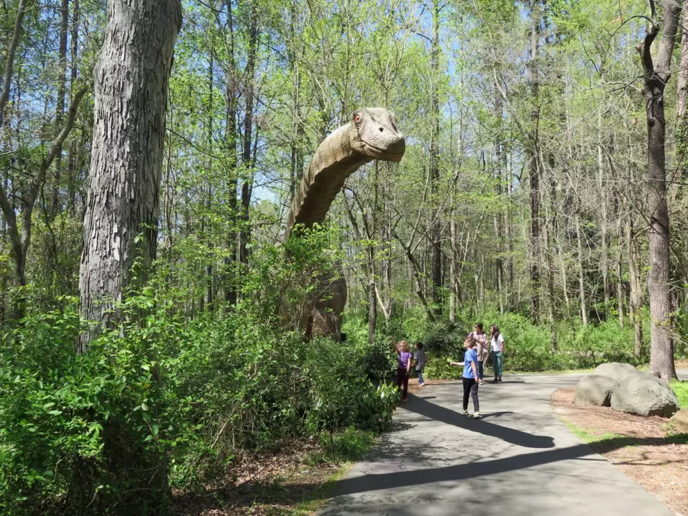 The tall dinosaur in the woods.