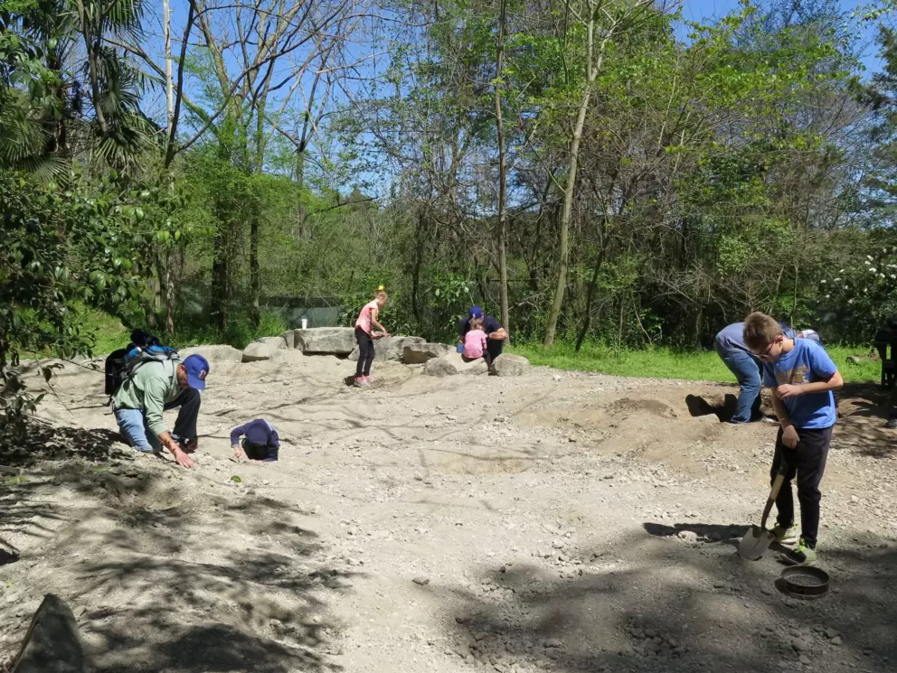 Digging for fossils.