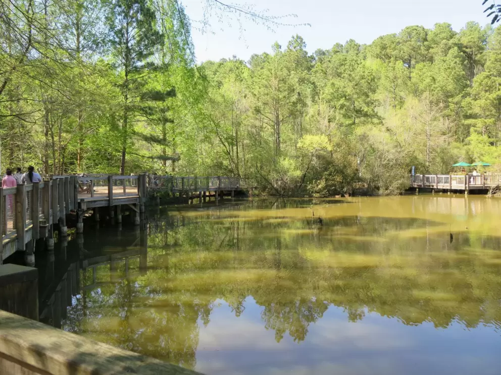 Sunny April day at the lake.