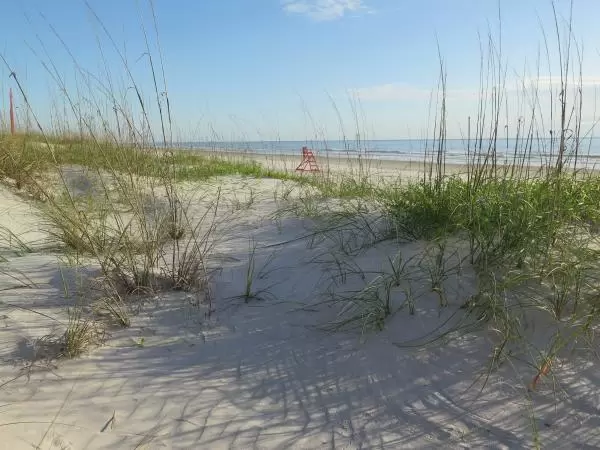 Pristine dunes. So pretty!