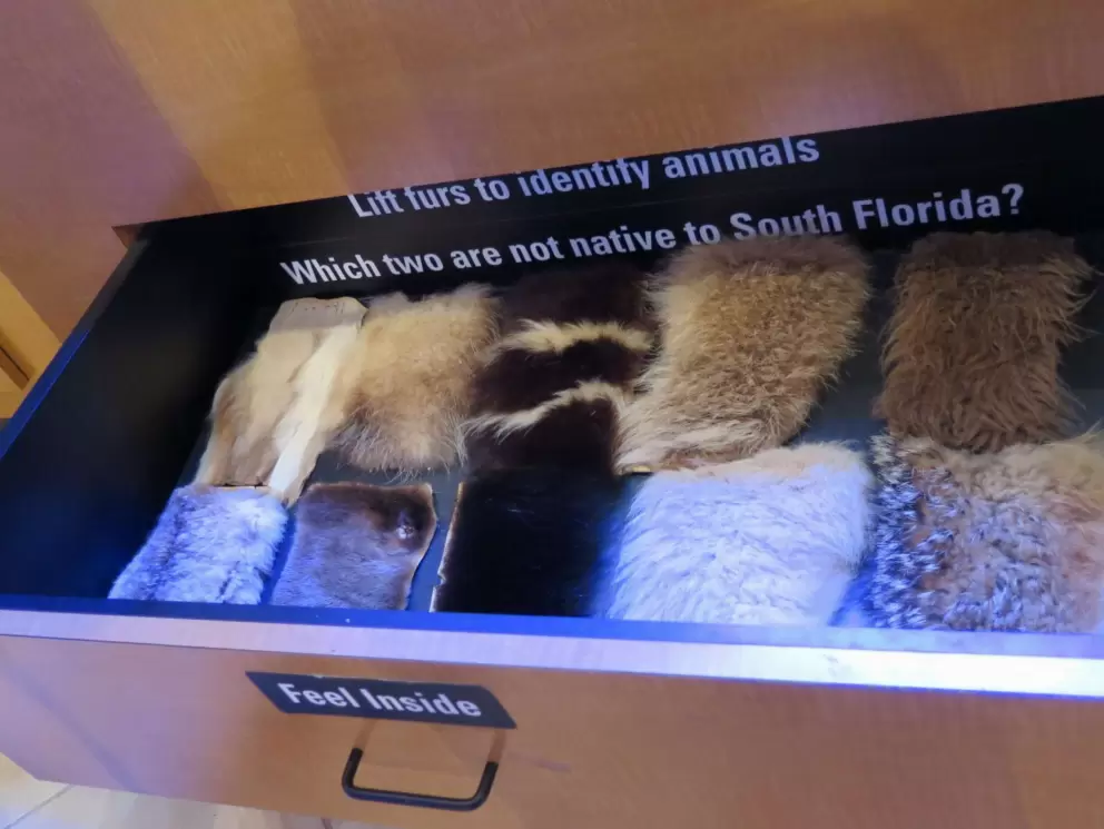 Feel the furs in the drawer.