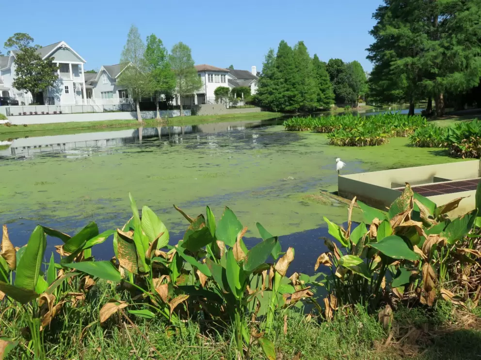 A beautiful view, at the third lake.