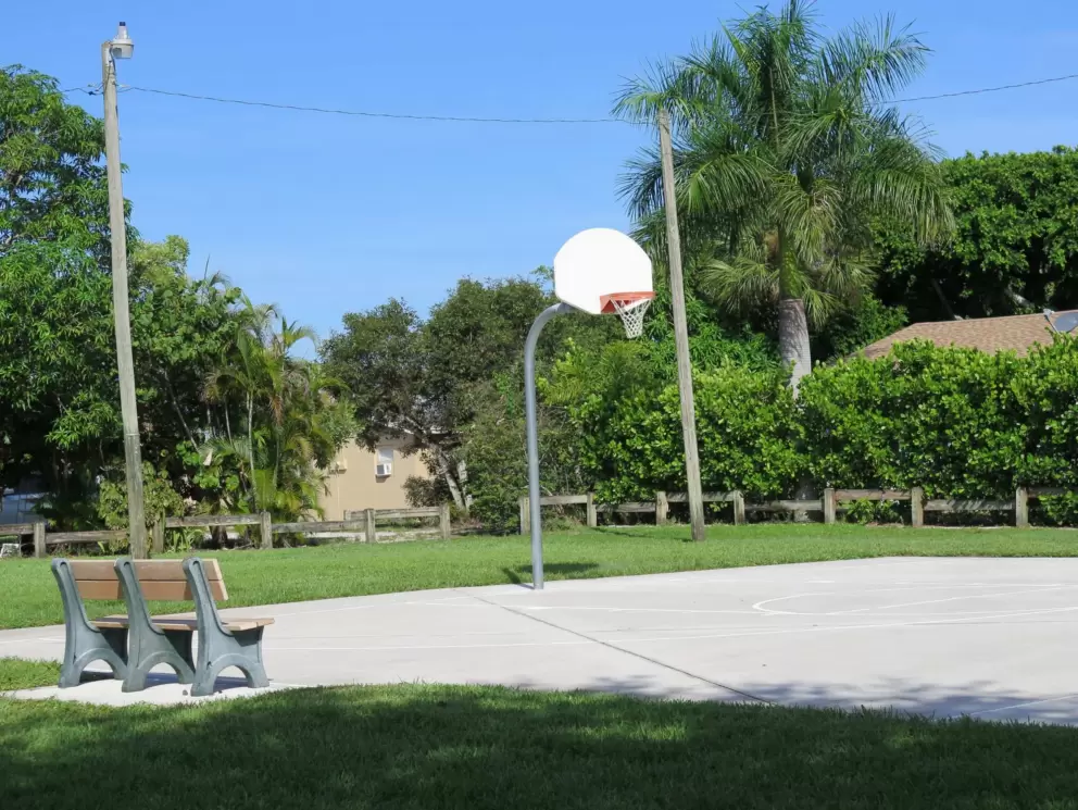 The basketball hoop.