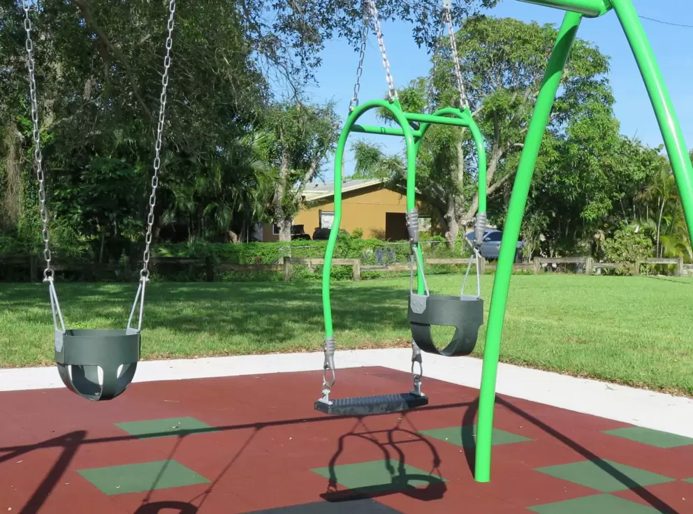 The mommy and baby swing!