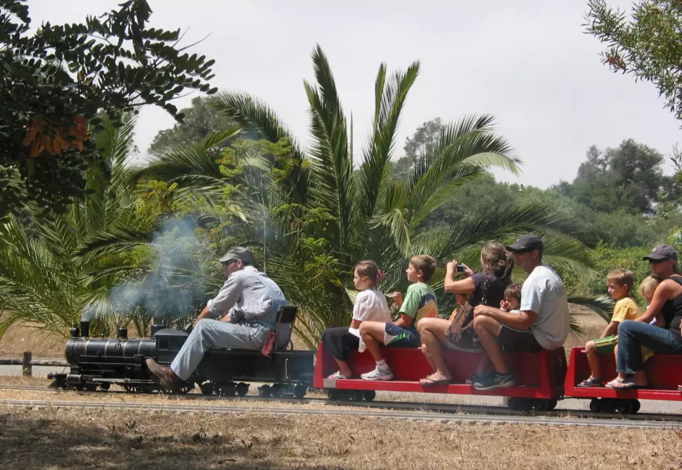 A ride on the steam engine.