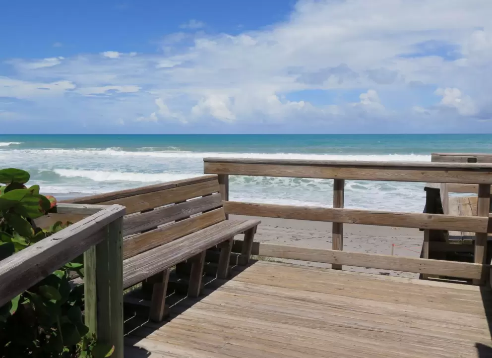 Wooden bench with view of the water.