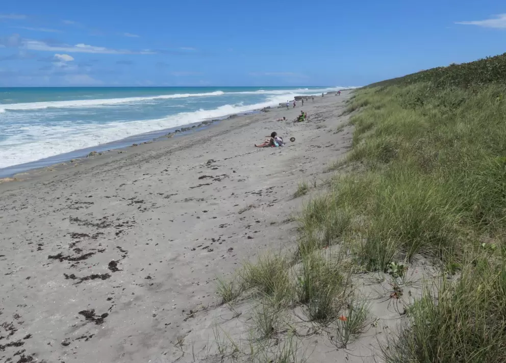 The dunes.