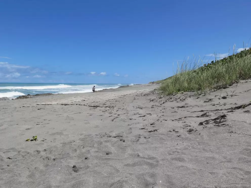 The dunes and grey sand.
