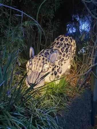 Jaguar, at Zoo Lights night.