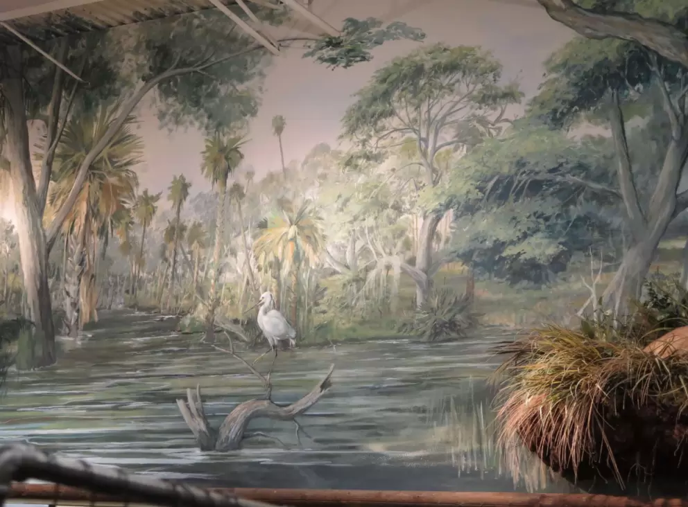 Mural of a swamp, inside Bass Pro. 