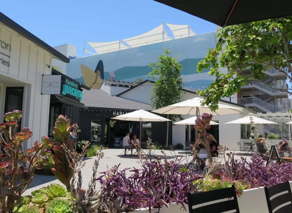 Colorful plants and building. 