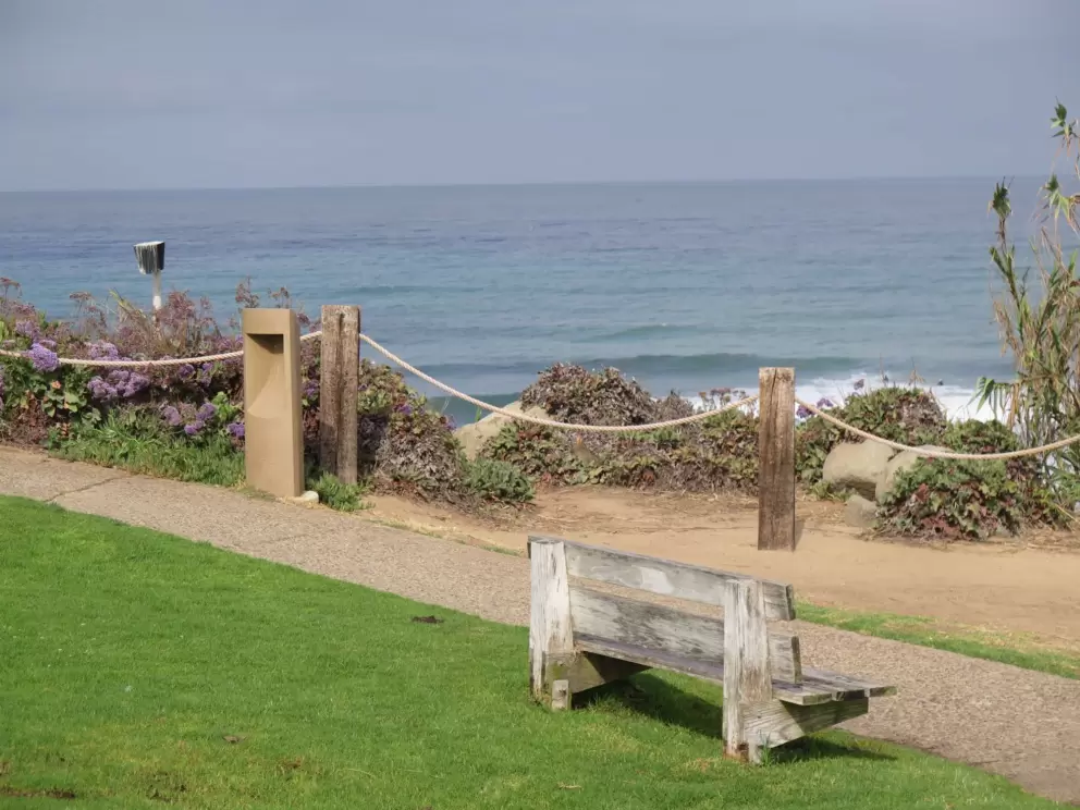 Bench with views of the waves.