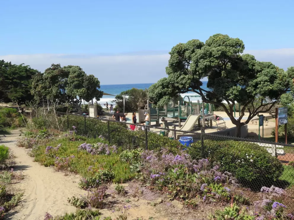 The playground with flowers and blue ocean.