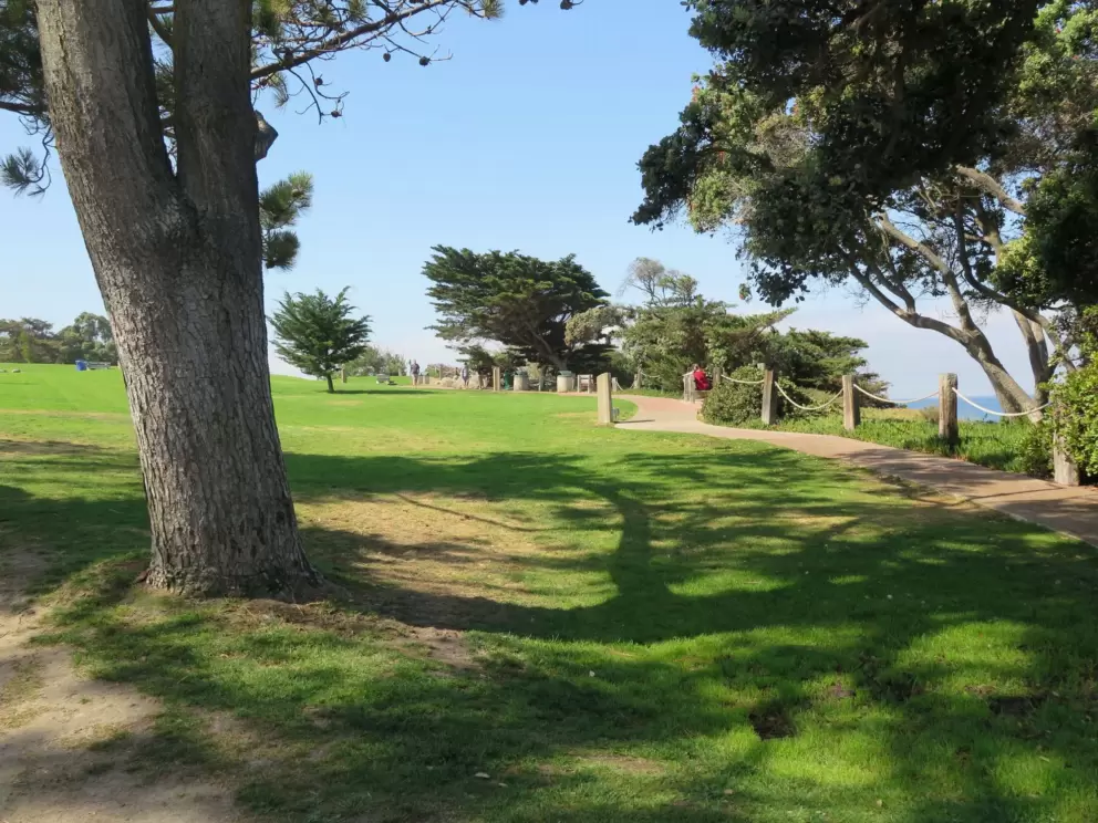 Shady walkway through Seagrove Park.
