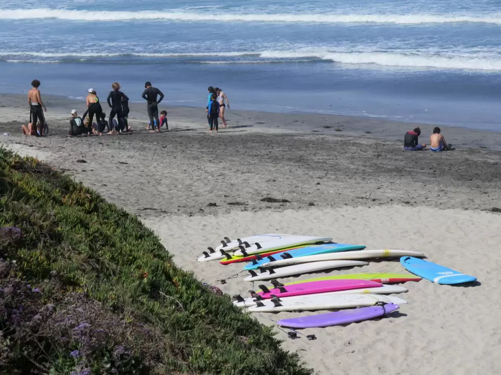 Colorful surfboards and kids having fun.