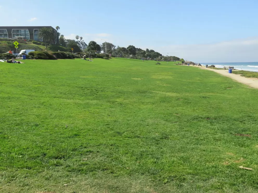 The huge lawn!
