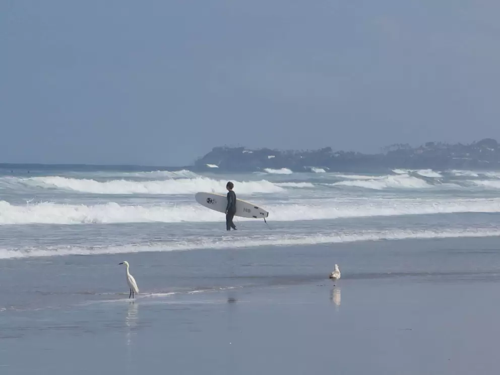 Surfer at the shore.