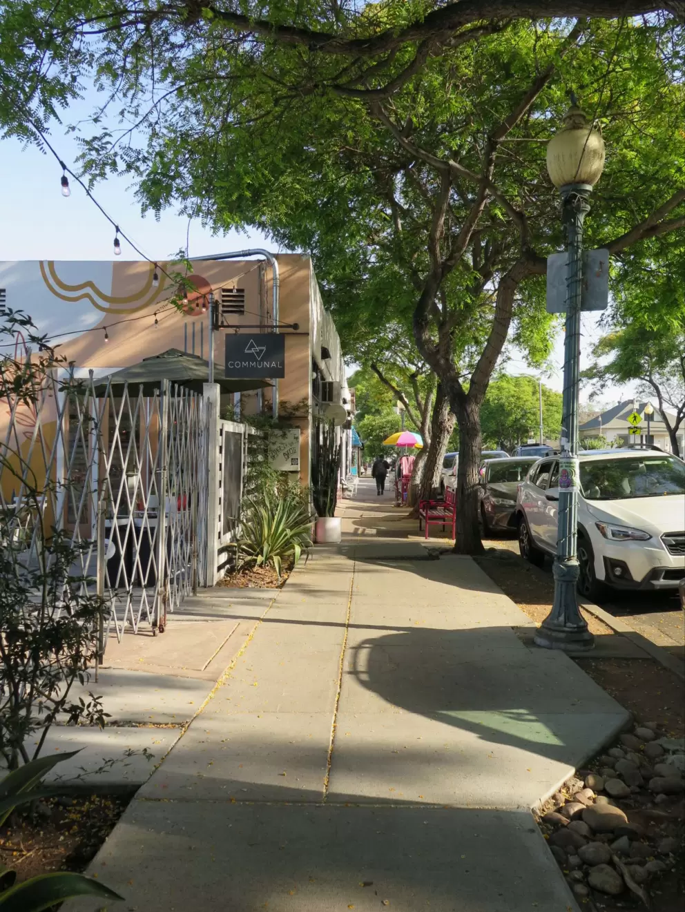 Tree-lined street.