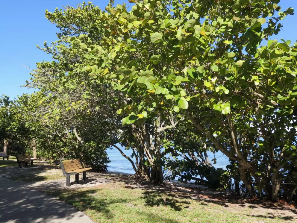 A bench looking out on the water. 