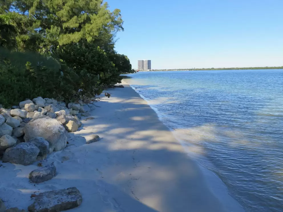 Shady white sand beach on the intracoastal.