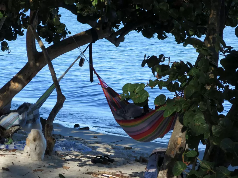 A stripey hammock by the water.