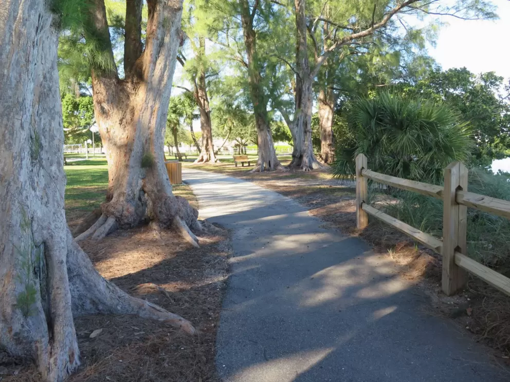 The shady path with a cute, wooden fence. 