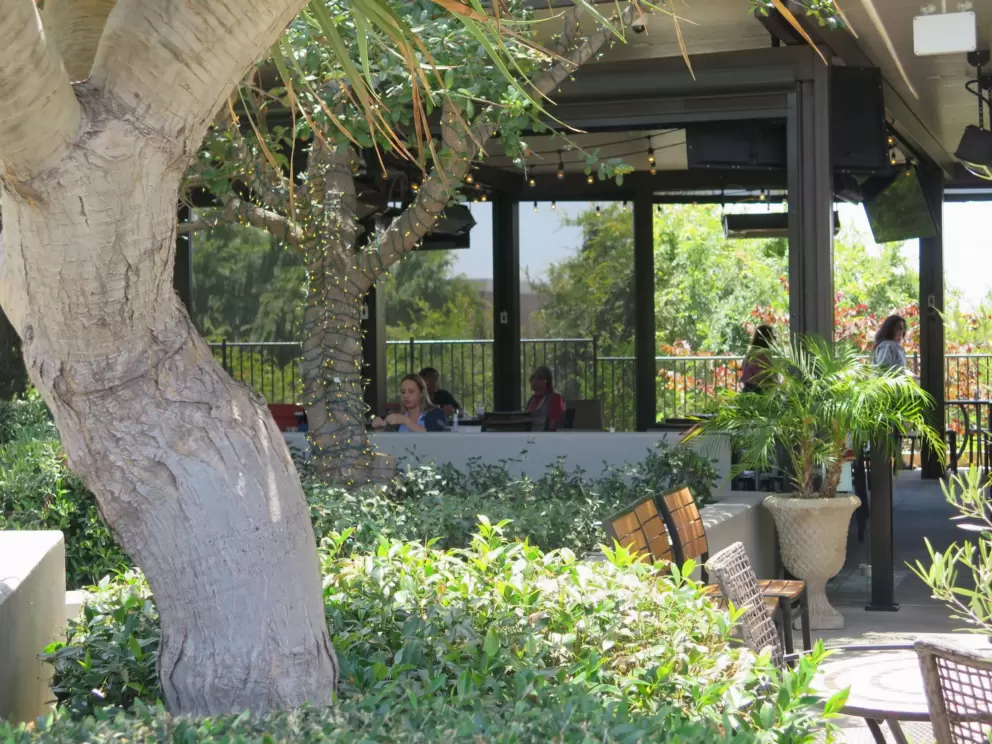 Shady areas to sit.